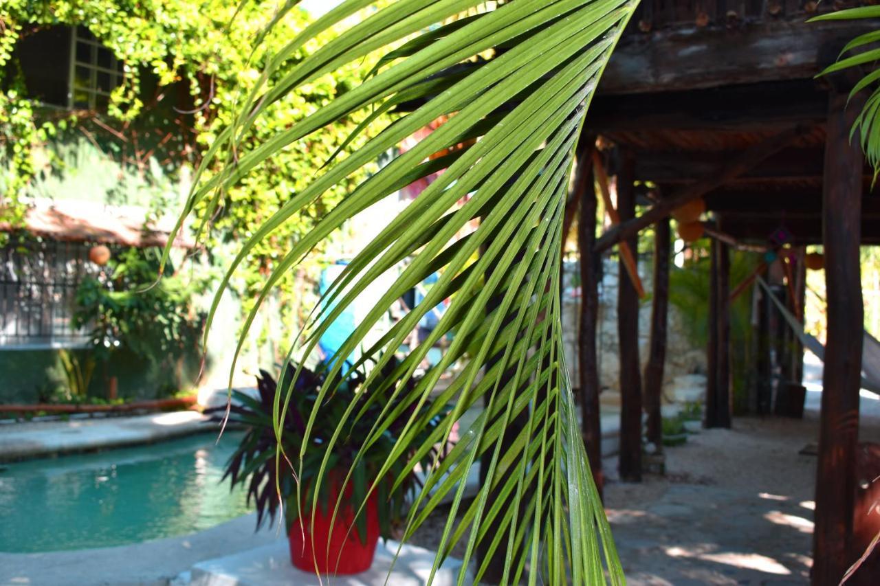 Lobo Inn Tulum Exterior foto