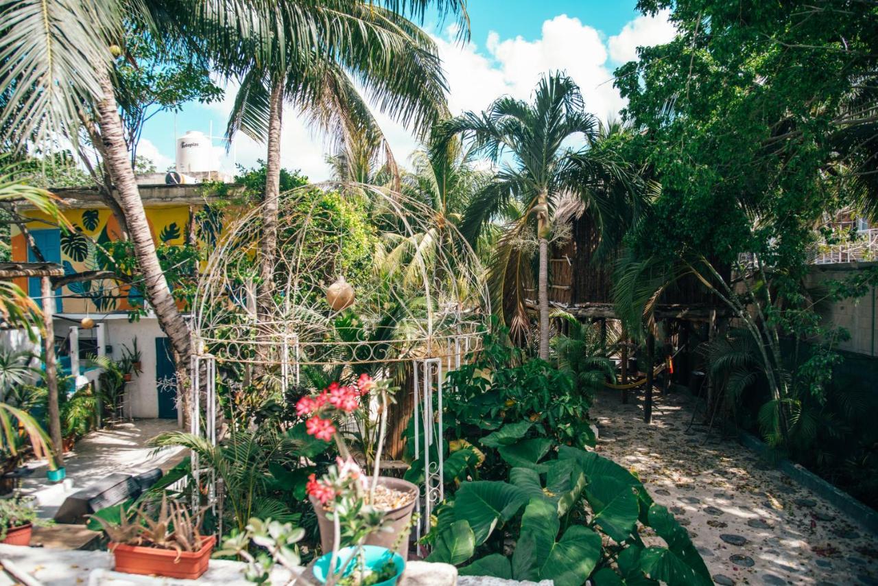 Lobo Inn Tulum Exterior foto